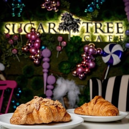 sugar tree cafe