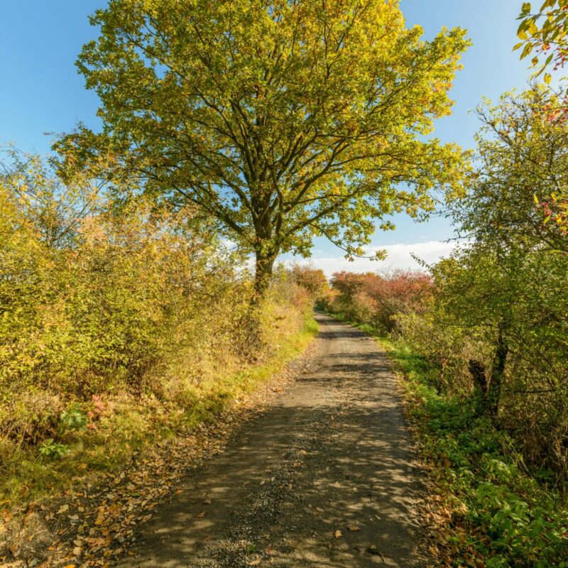 essex hudson greenway
