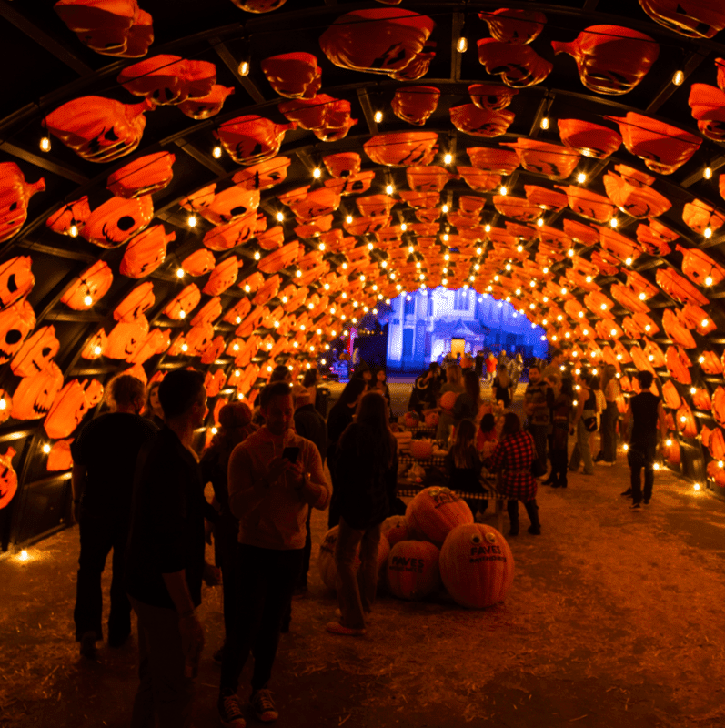 haunt o ween pumkin tunnel