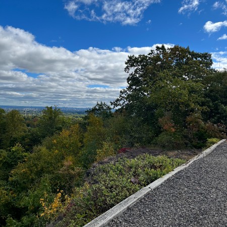 montclair hawkwatch