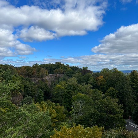 montclair hawkwatch