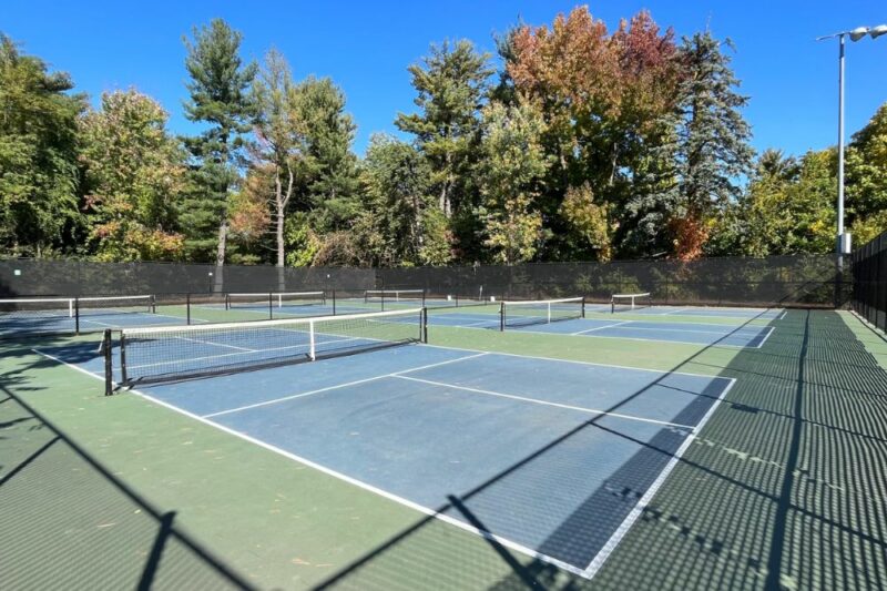 pickleball essex county