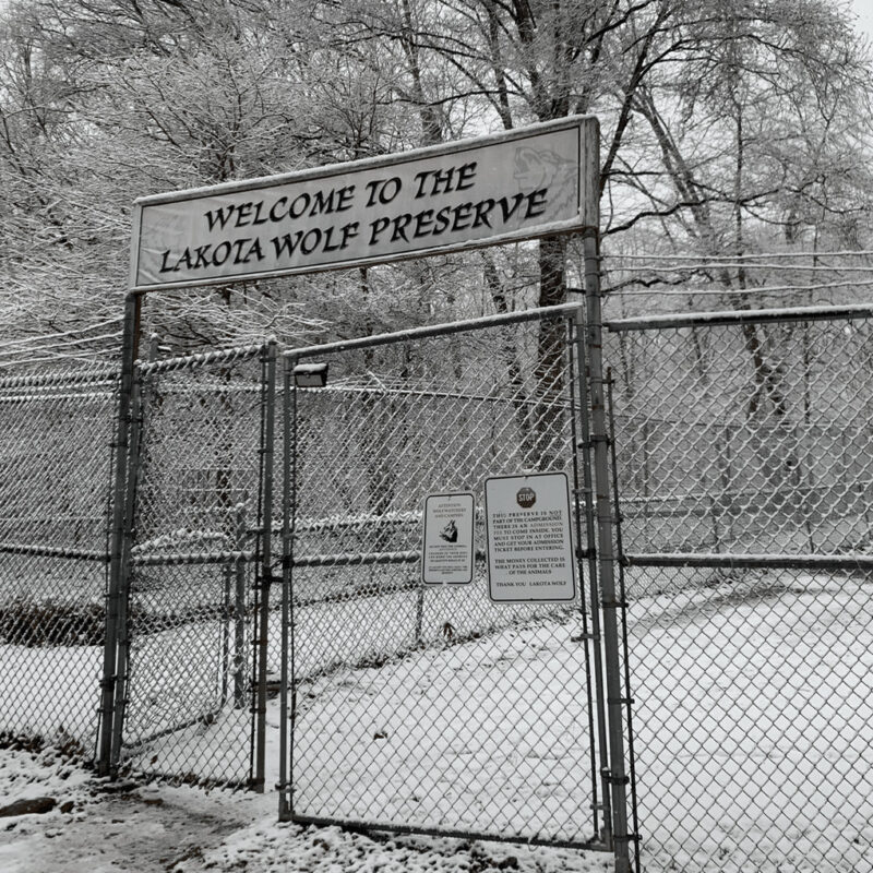 lakota wolf preserve