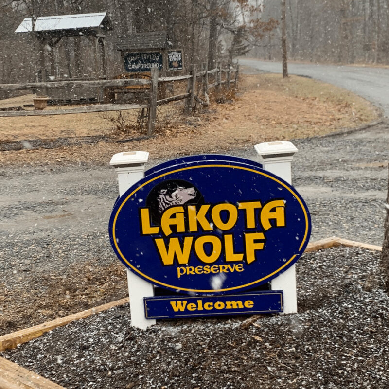 lakota wolf preserve