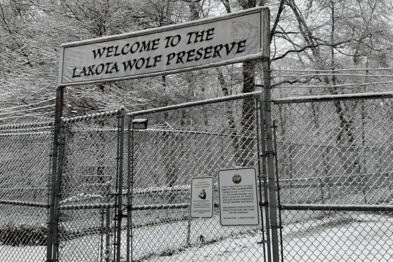 lakota wolf preserve columbia nj