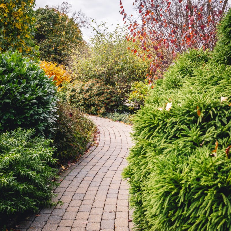 frelinghuysen arboretum