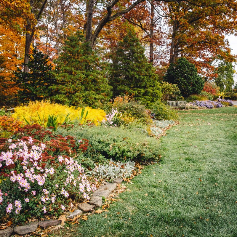 frelinghuysen arboretum