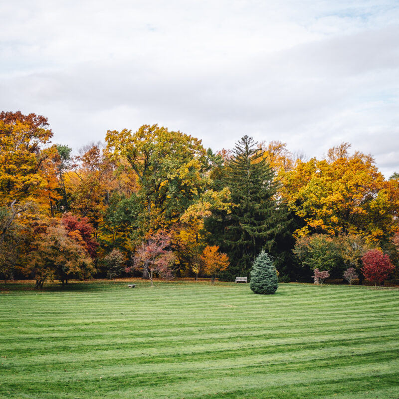 frelinghuysen arboretum