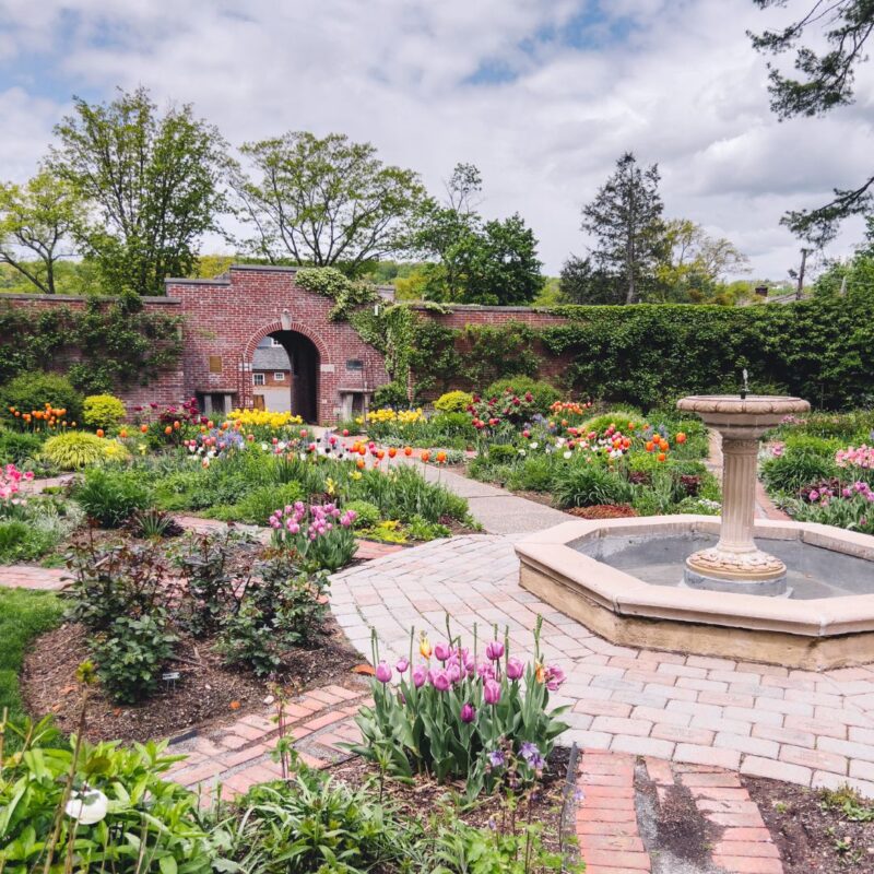 avis campbell gardens