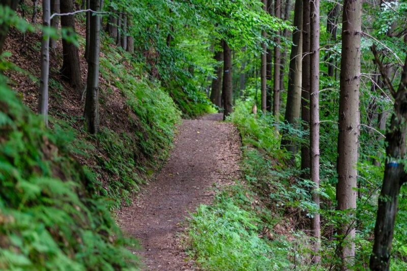 best hiking trails montclair essex county
