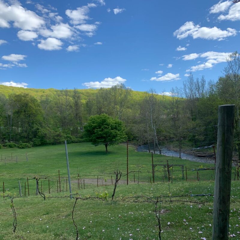 hiking view rockland county ny