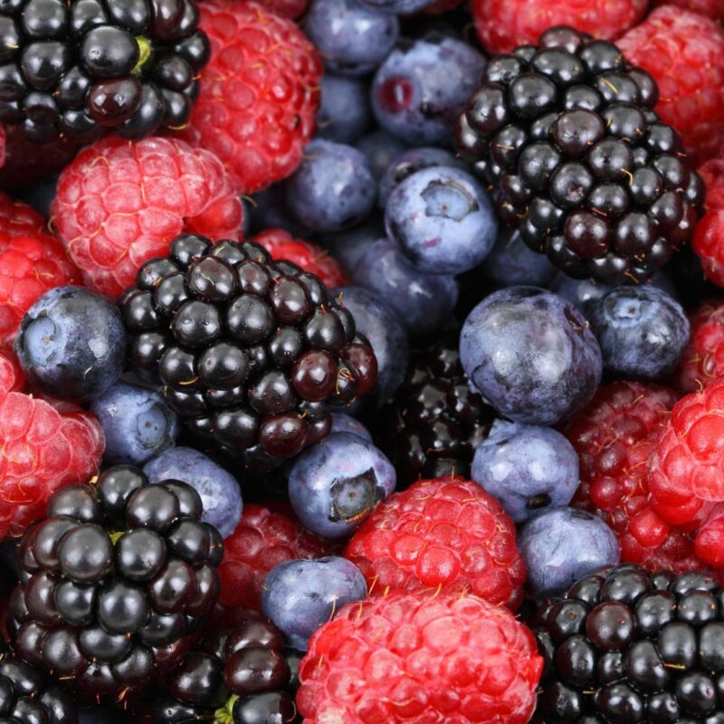 berry farms montclair new jersey