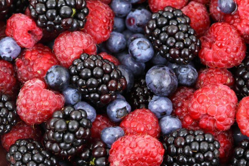 berry farms montclair new jersey
