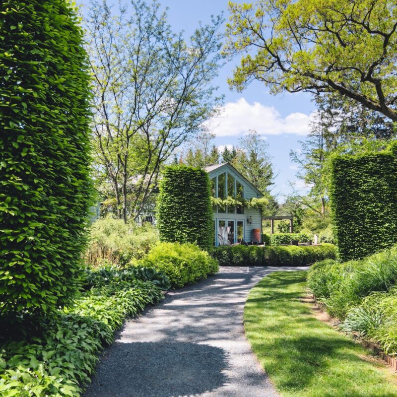 mountsier garden exterior