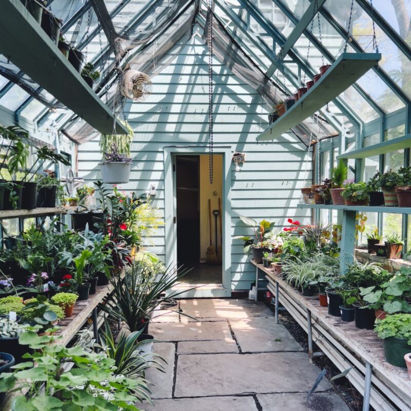 mountsier garden greenhouse