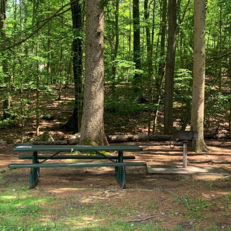 highlands natural pool ringwood nj picnic table