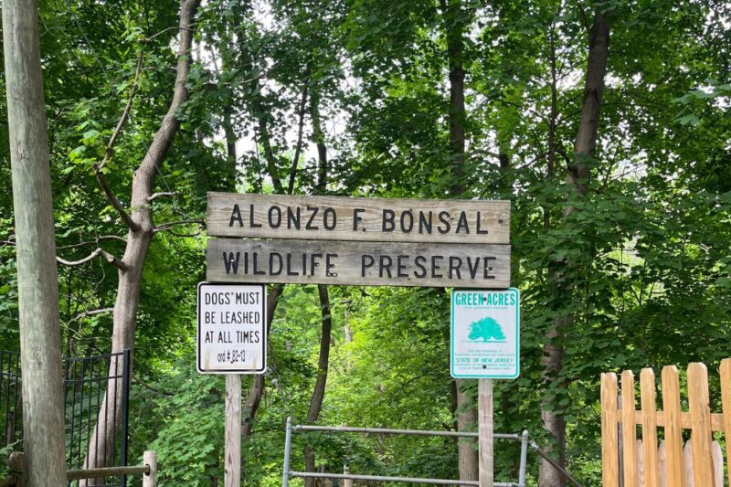 alonso f bonsal montclair