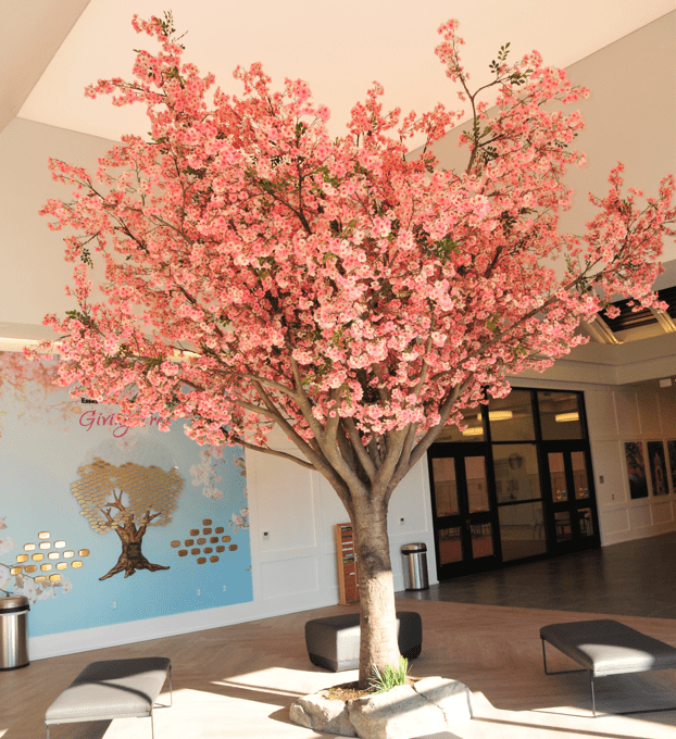 cherry blossom tree welcome center