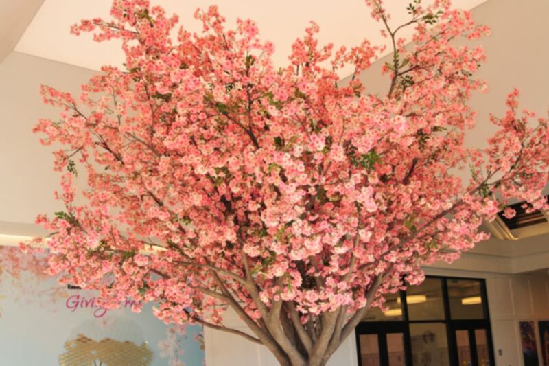 cherry blossom welcome center newark nj