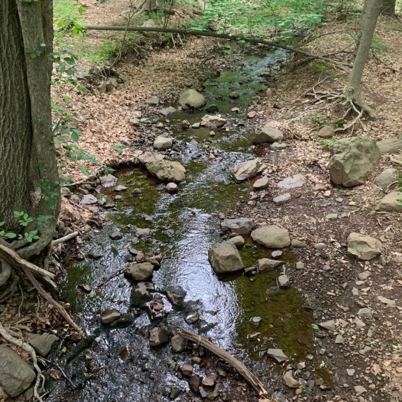 eagle rock reservation essex county history nj park