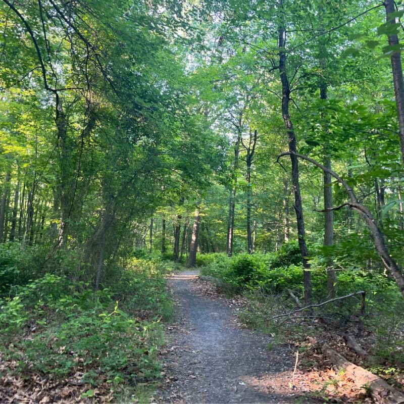 eagle rock reservation essex county history nj walking