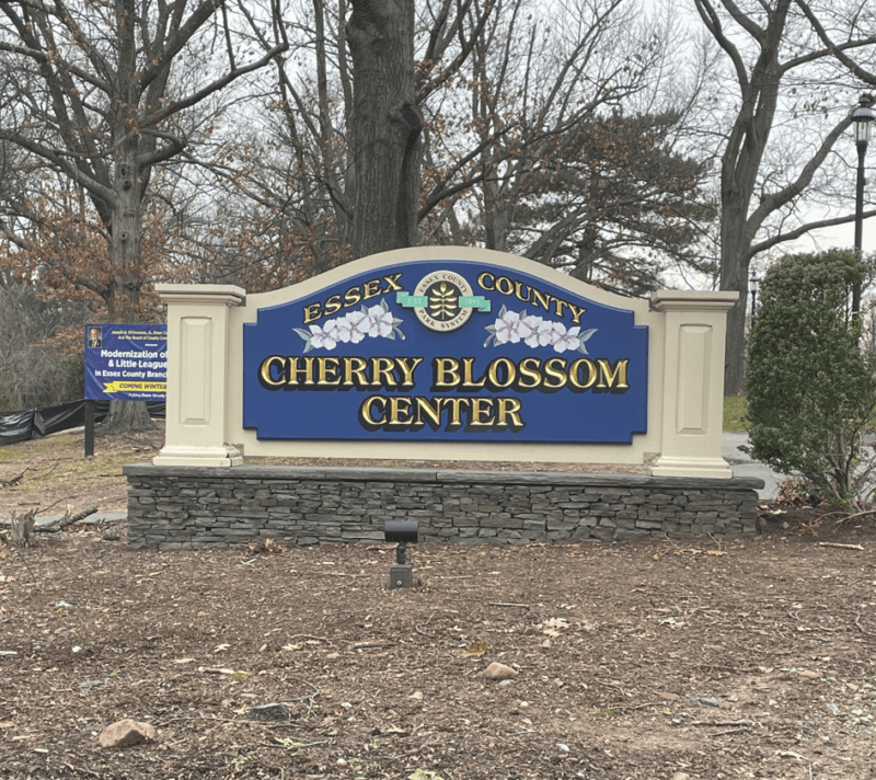 essex county cherry blossom center