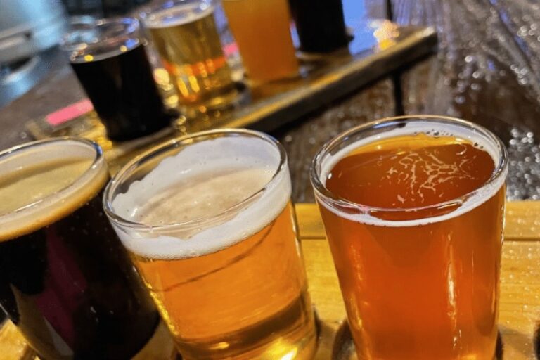61 Events in the Montclair + North Jersey Area February 29March 3