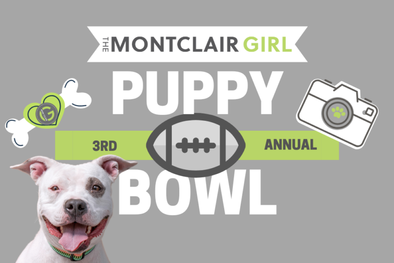 montclair girl puppy bowl nominate 2024