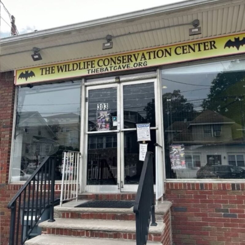 wildlife conservation center new jersey 