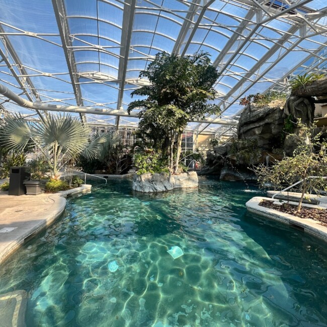 biosphere pool crystal springs