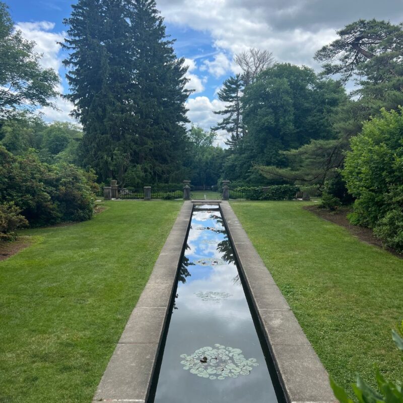 ringwood botanical gardens nj