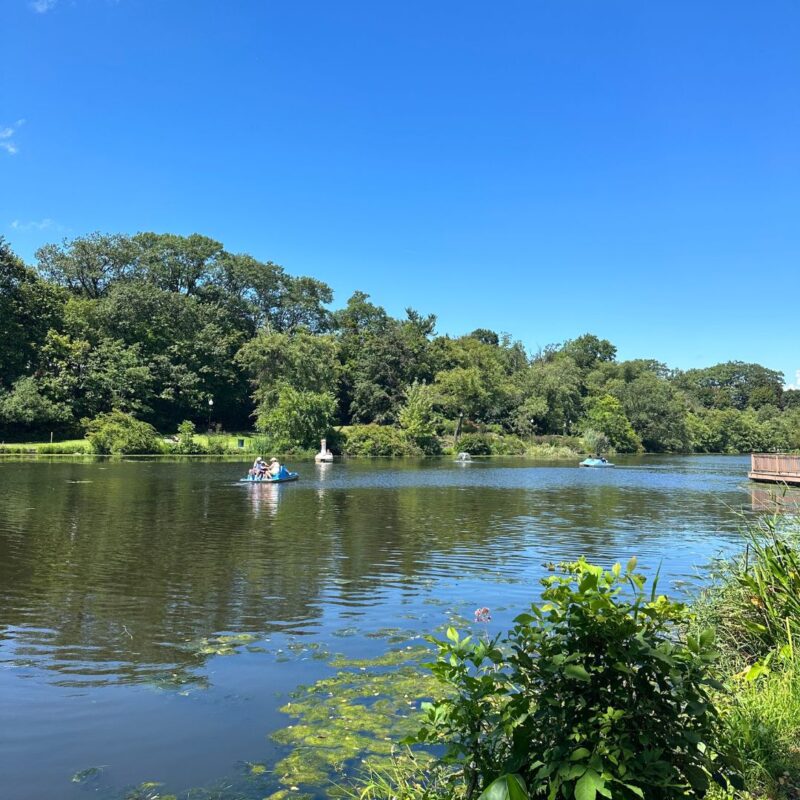 verona park paddle boat 