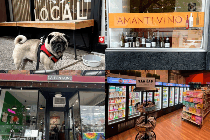 Dog Friendly Businesses Montclair
