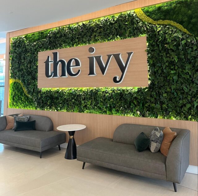 The Ivy front