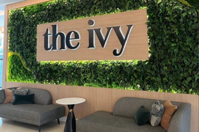 the ivy chatham