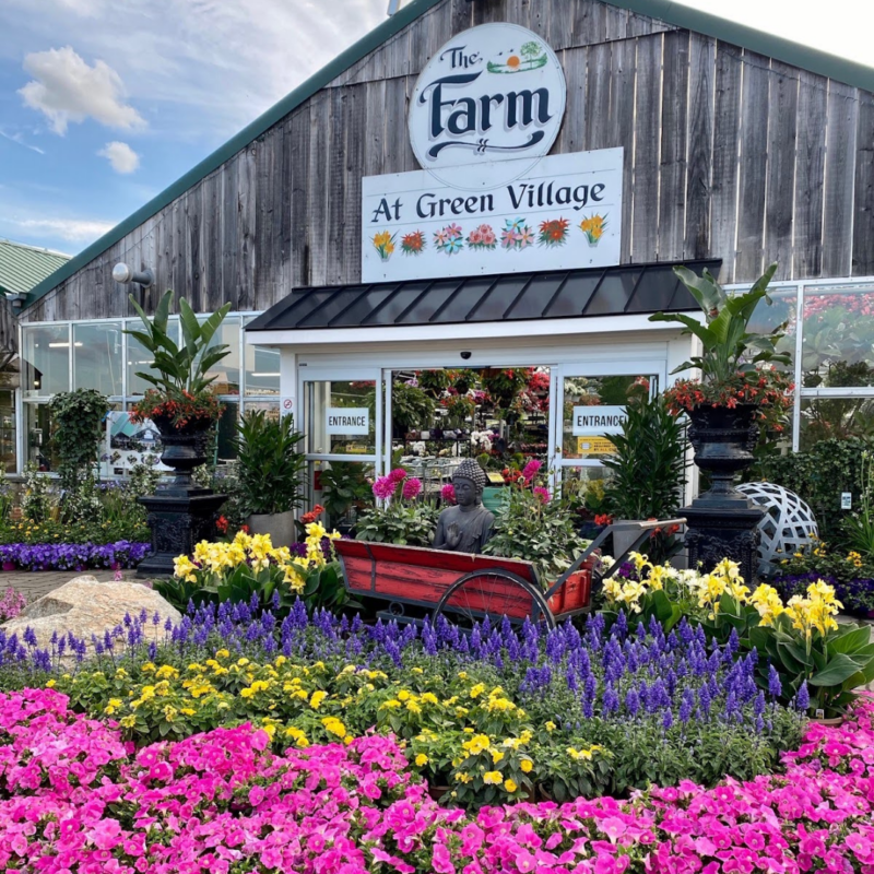 Entrance to The Farm with pink, yellow, and purple flowers outside