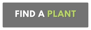 find a plant