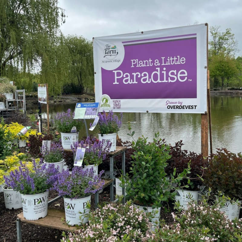 Potted plants at The Farm in front of a sign that reads "Plat a Little Paradise" with a pond in the background