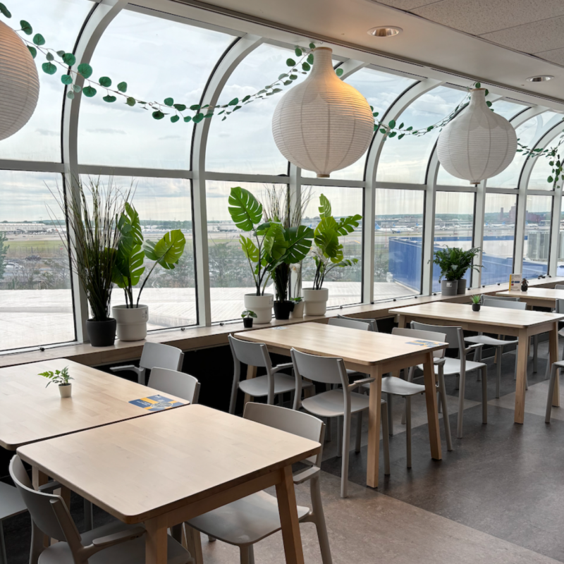 Restaurant in IEKA Elizabeth with multiple tables, chairs, plants, and large windows