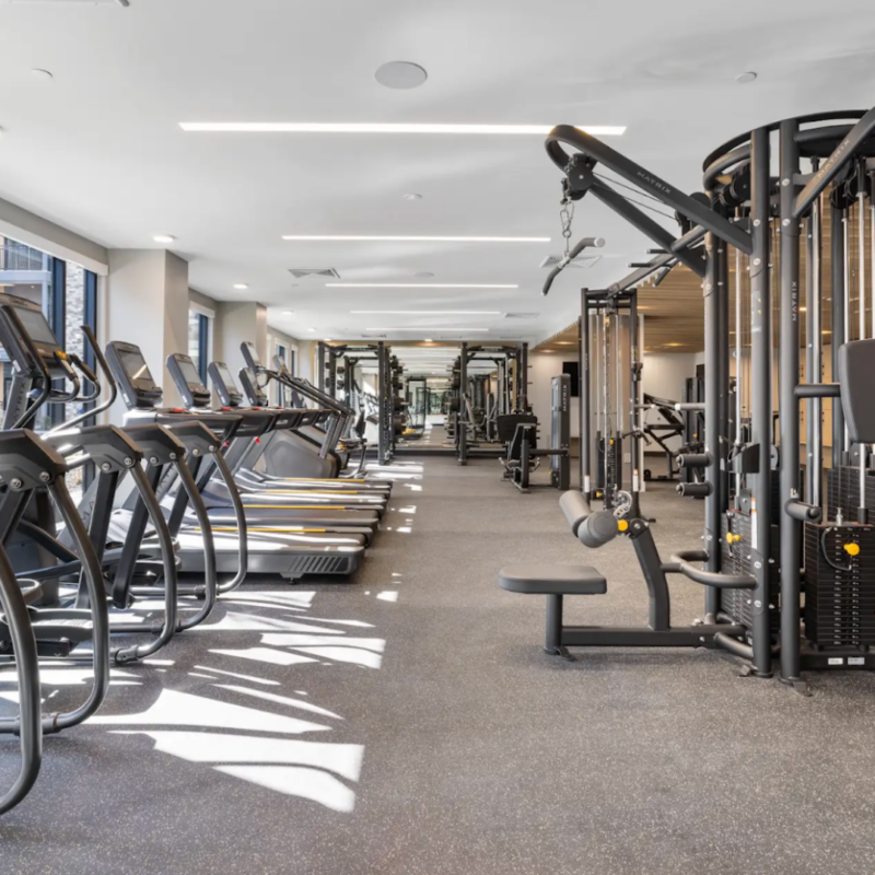 Cardio and strength equipment in Stonehill gym