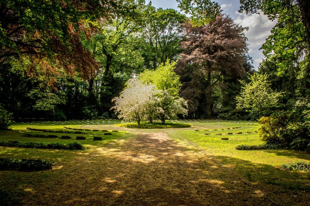 garden pexel