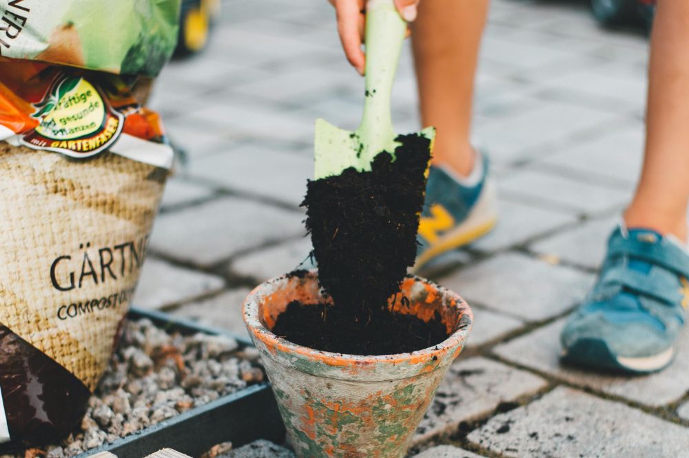 gardening pexel