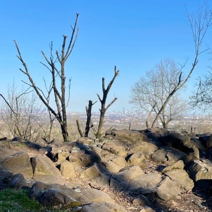 eagle rock