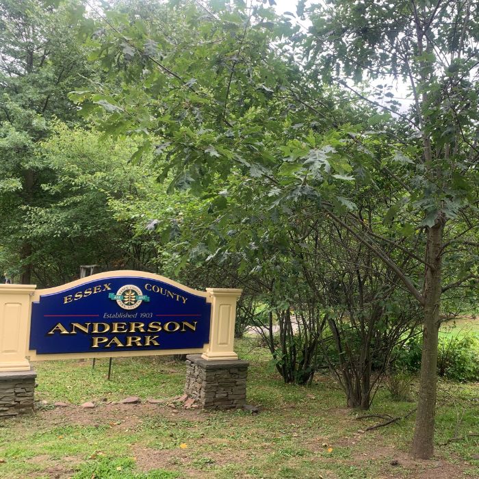 anderson park
