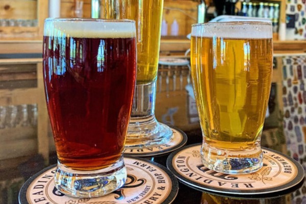 readington brewery nj