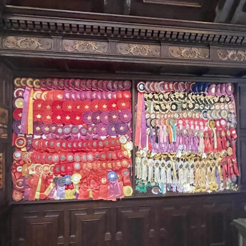 a selection of ribbons on display at gladstone