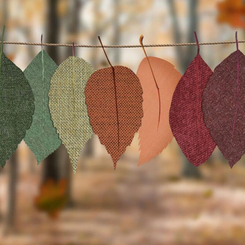 fall fest
