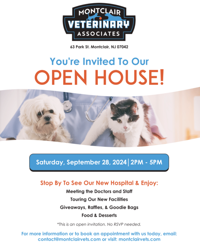 montclairvetevent
