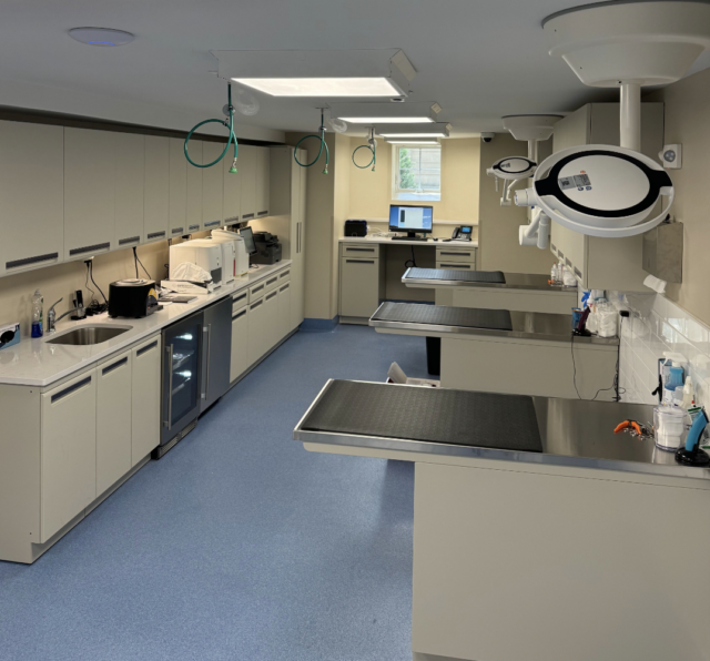 montclairvethospital