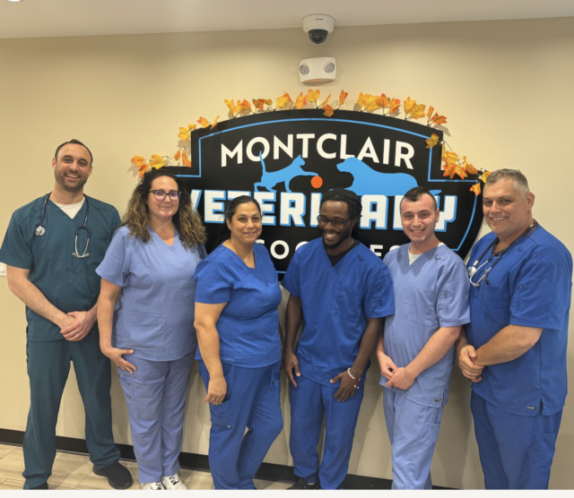montclairvetteam